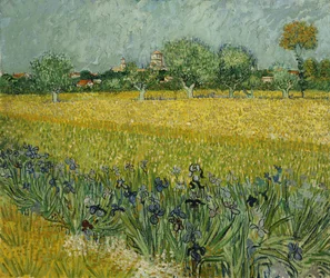 Campo com flores perto de Arles
