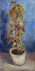Chama Urtiga em um vaso de flores par Gogh, Vincent, van (1853-1890). Óleo sobre tela, tamanho : 42,1x21,9