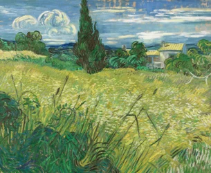 Campo verde