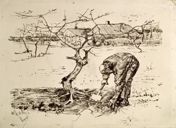 No pomar de 1883