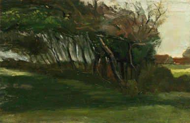 Paisagem com árvores varridas pelo vento, c.1883-84 (óleo sobre tela)