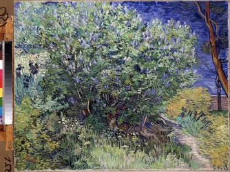 Pintura "Lilac Bush" de Vincent van Gogh (1853-1890) 1889 Dim. 72x92 cm Museu Hermitage, São Petersburgo (São Petersburgo)