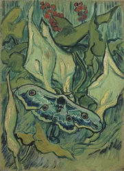 Le grand paon vert (sphinx tete de mort) - Peinture de Vincent van Gogh (1853-1890), huile sur toile (33,5x24,5 cm)
