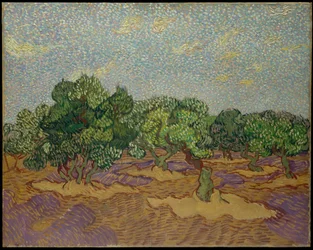 Oliveiras