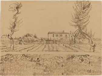 Lavrador nos campos perto de Arles