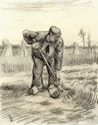 Coletor de batatas, 1885