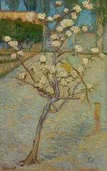 Pequena pereira em flor