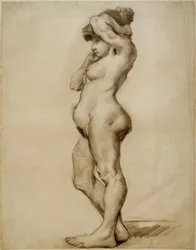 Nu feminino de pé