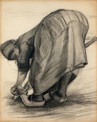 O puxador de cenoura