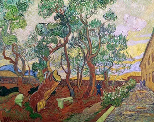 O jardim do hospital de St. Paul em St. Remy, 1889