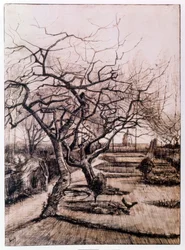 O Jardim dos Presbíteros em Nuenen no Inverno (1884)