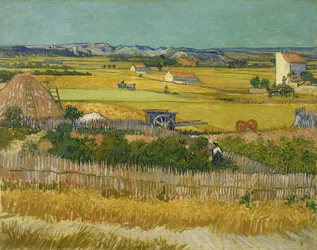 A colheita
