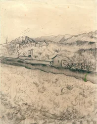 Campo murado