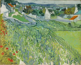 Vinhedos em Auvers