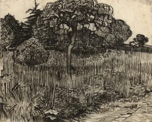 Árvore chorando, 1889