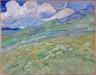 Campo de trigo e montanhas