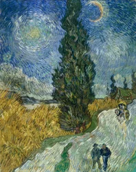 Caminho de cipreste sob o céu estrelado