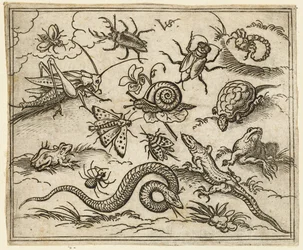Grupo de insetos e répteis em terreno plano com rochas, incluindo uma iguana, um lagarto..., 1557.