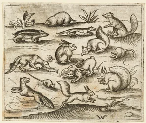 Grupo de pequenas criaturas da floresta comendo e correndo ao redor de um lago, incluindo um rato..., 1557.