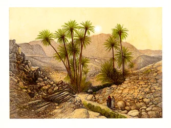O deserto do Sinai, Egito, c1870.