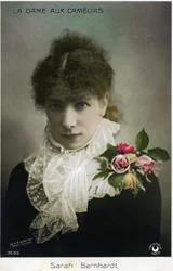 Henriette Rosine Bernard aka Sarah Bernhardt (1844-1923) como "A Senhora das Camélias" de Alexandre Dumas Jr. (foto)