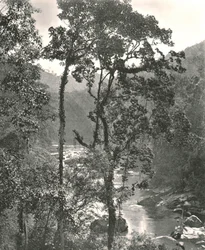 Vista do rio Kelani, Kurunegala, Ceilão, 1895.
