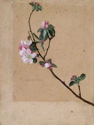 "Apple Blossom", 1869