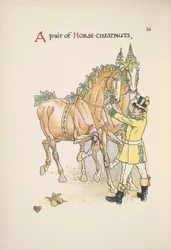 Dois cavalos