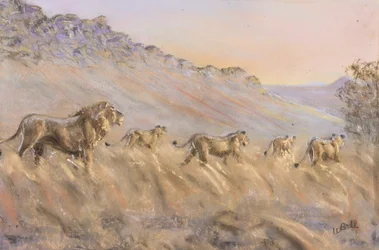 Leões africanos (pastel)