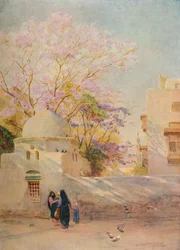 Jacarandá, c1905, 1912