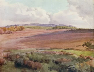 A Nova Floresta: Do outro lado do Malwood Walk from the Road to Fritham (cor litho)