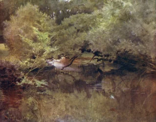A Nova Floresta: O Rio Lymington em Royden, perto de Boldre (cor litho)