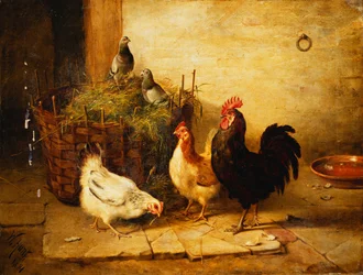 Aves e pombos em um interior