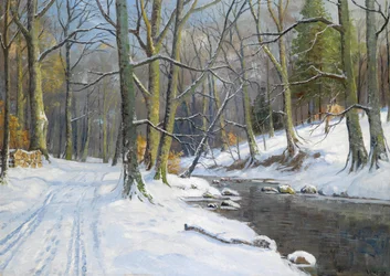 Paisagem do riacho no inverno