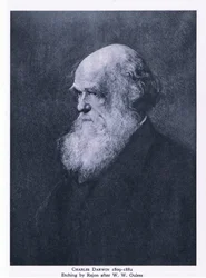 Etching of Charles Darwin, Nature in Britain publicado pela Collins
