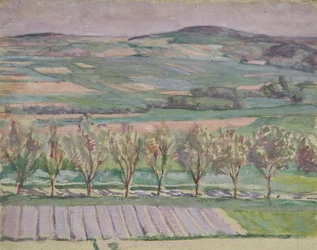 paisagem de árvores