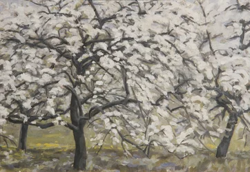 Árvores de fruto em flor