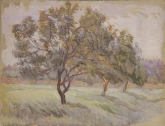 Árvores de fruto