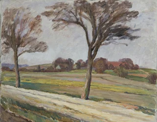Caminho com árvores e quintas