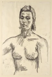 Mulher semi-nua