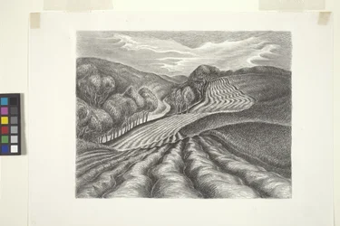 Campos arados (tinta, lápis)