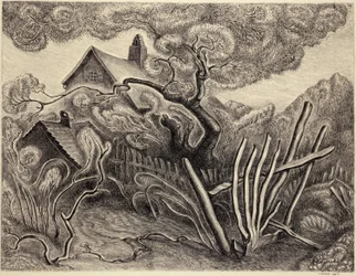 primavera (primavera no Jardim)
