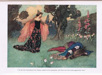 Por fim, lembrou-se do seu sonho, correu para o relvado e viu-o ali caído, aparentemente morto, ilustração de «Hutchinson