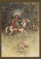 Placa 24: "Uma luz brilhante, como a da Lua, era vista a brilhar na sua testa", de Folk-Tales of Bengal ... Com 32 ilustrações a cores de Warwick Goble (Edition de luxe)
