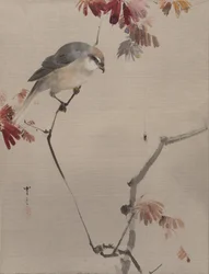Aranha no ramo assistindo aranha, ca. 1887
