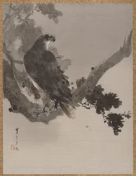 Águia em uma árvore, ca. 1887