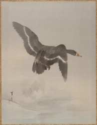 Ganso Voador, c. 1887.