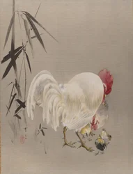 Galo e galinha com pintinhos, ca. 1887