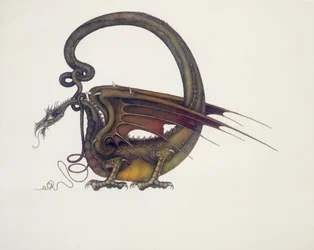 D de Dragão