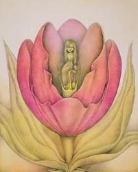 A tulipa abre-se com um estalo